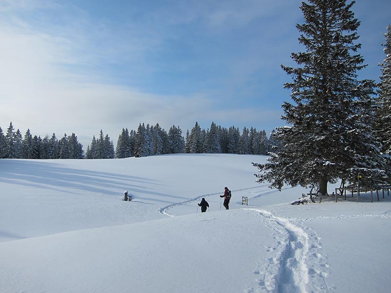 Schneeschuhgeher